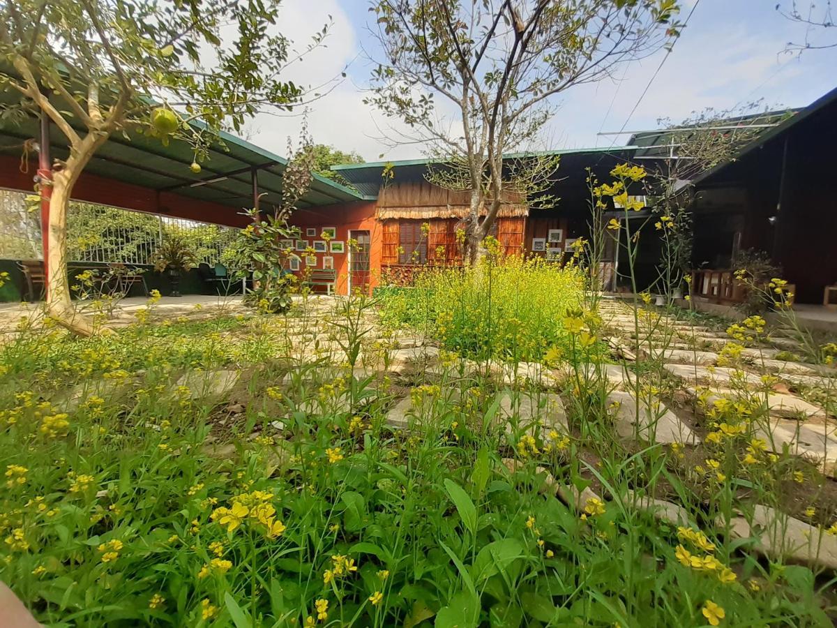 Nghia Lo Homestay Lan Rung מראה חיצוני תמונה