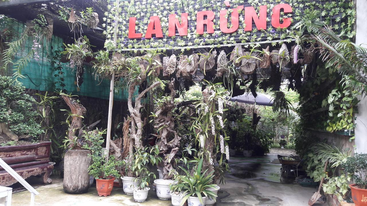 Nghia Lo Homestay Lan Rung מראה חיצוני תמונה