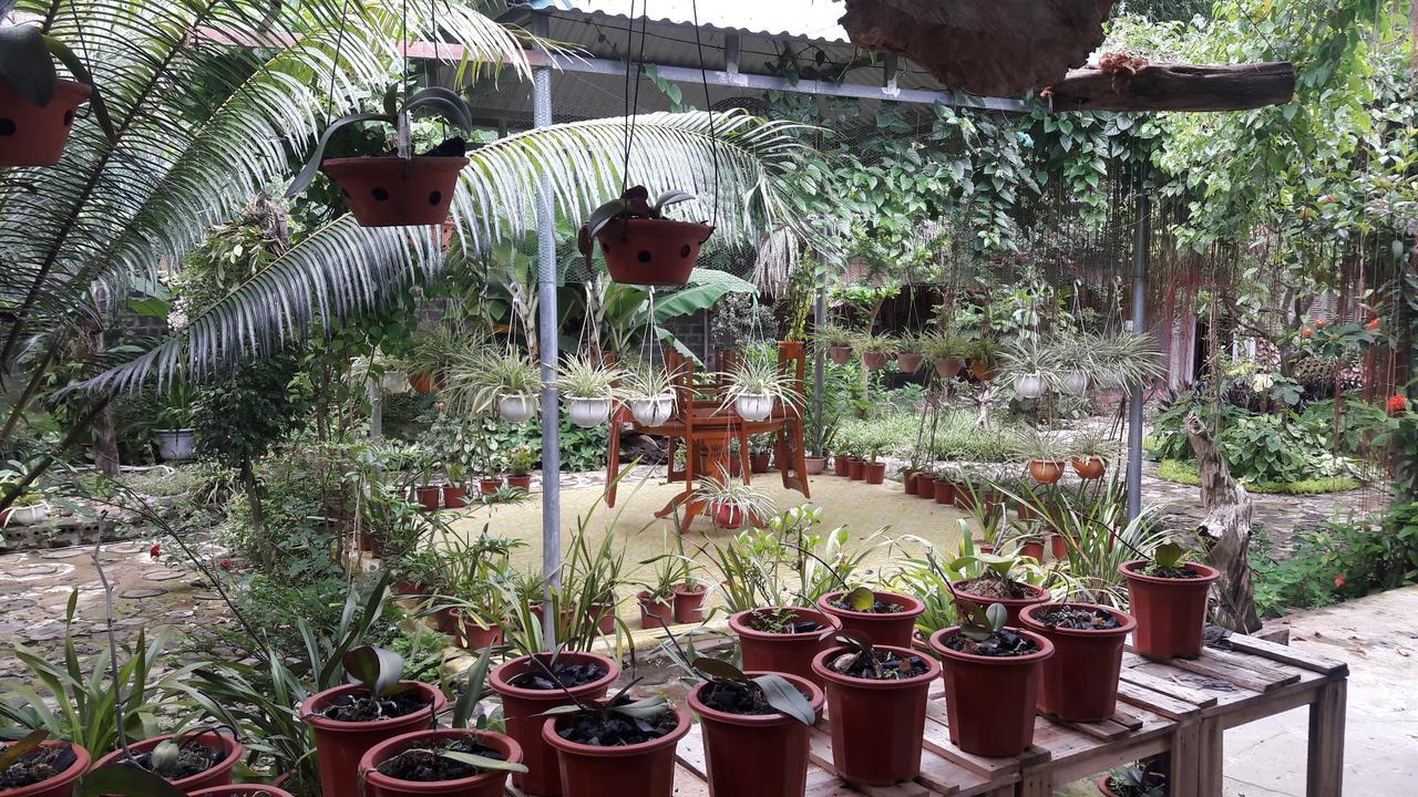 Nghia Lo Homestay Lan Rung מראה חיצוני תמונה