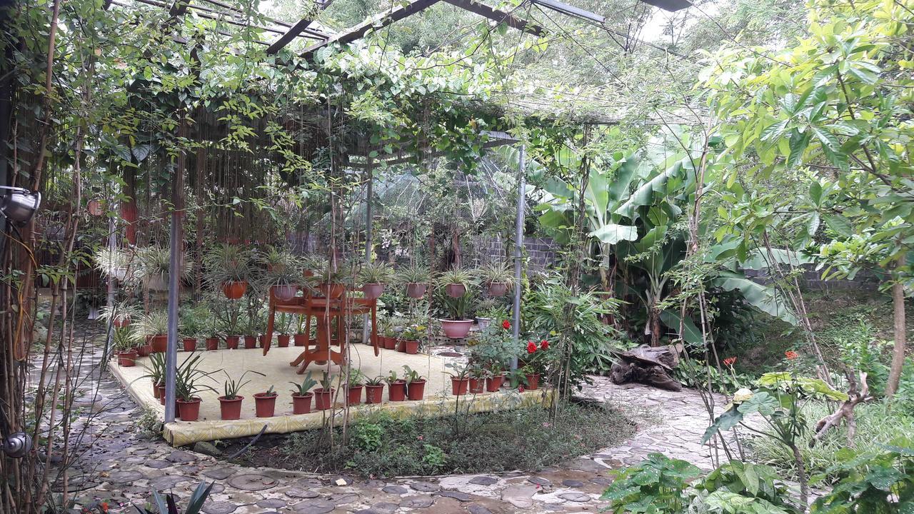 Nghia Lo Homestay Lan Rung מראה חיצוני תמונה